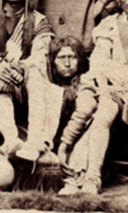 Possibly Little Soldier.